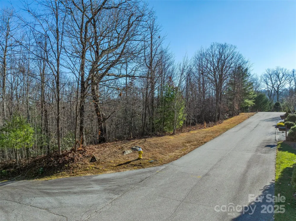 211 Ladys Fern Trail Laurel Park, NC 28739
