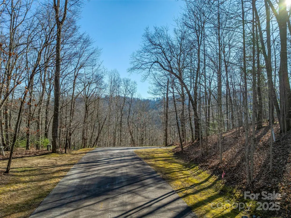 211 Ladys Fern Trail Laurel Park, NC 28739