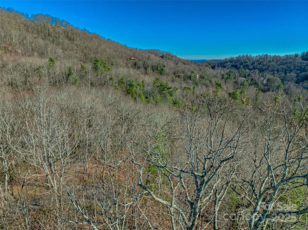 211 Ladys Fern Trail Laurel Park, NC 28739