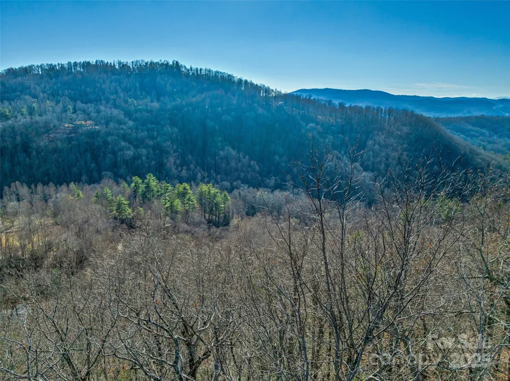 211 Ladys Fern Trail Laurel Park, NC 28739