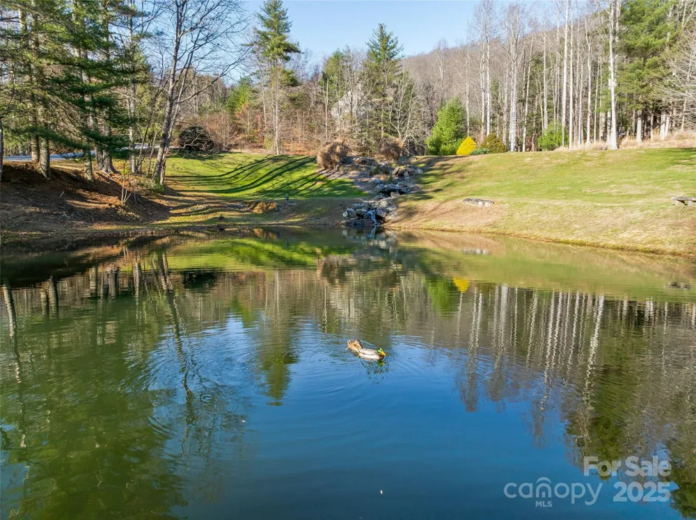 211 Ladys Fern Trail Laurel Park, NC 28739
