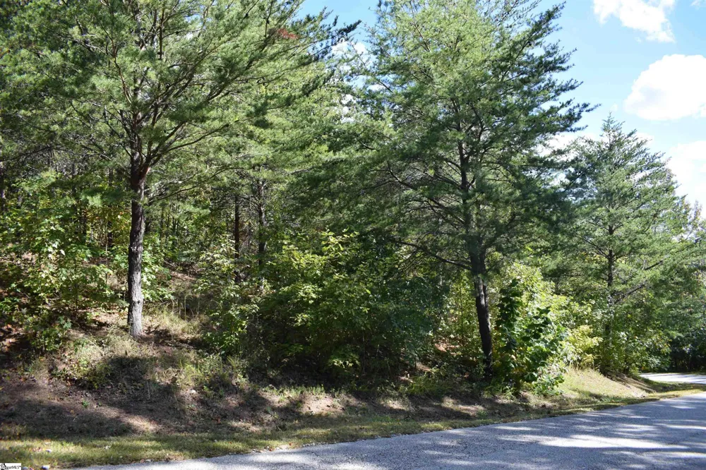 0 Holland Drive #Lot 3 Columbus, NC 28722