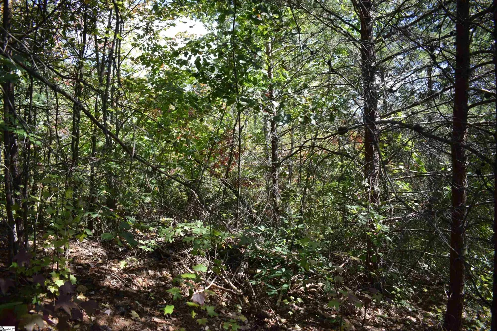0 Holland Drive #Lot 3 Columbus, NC 28722