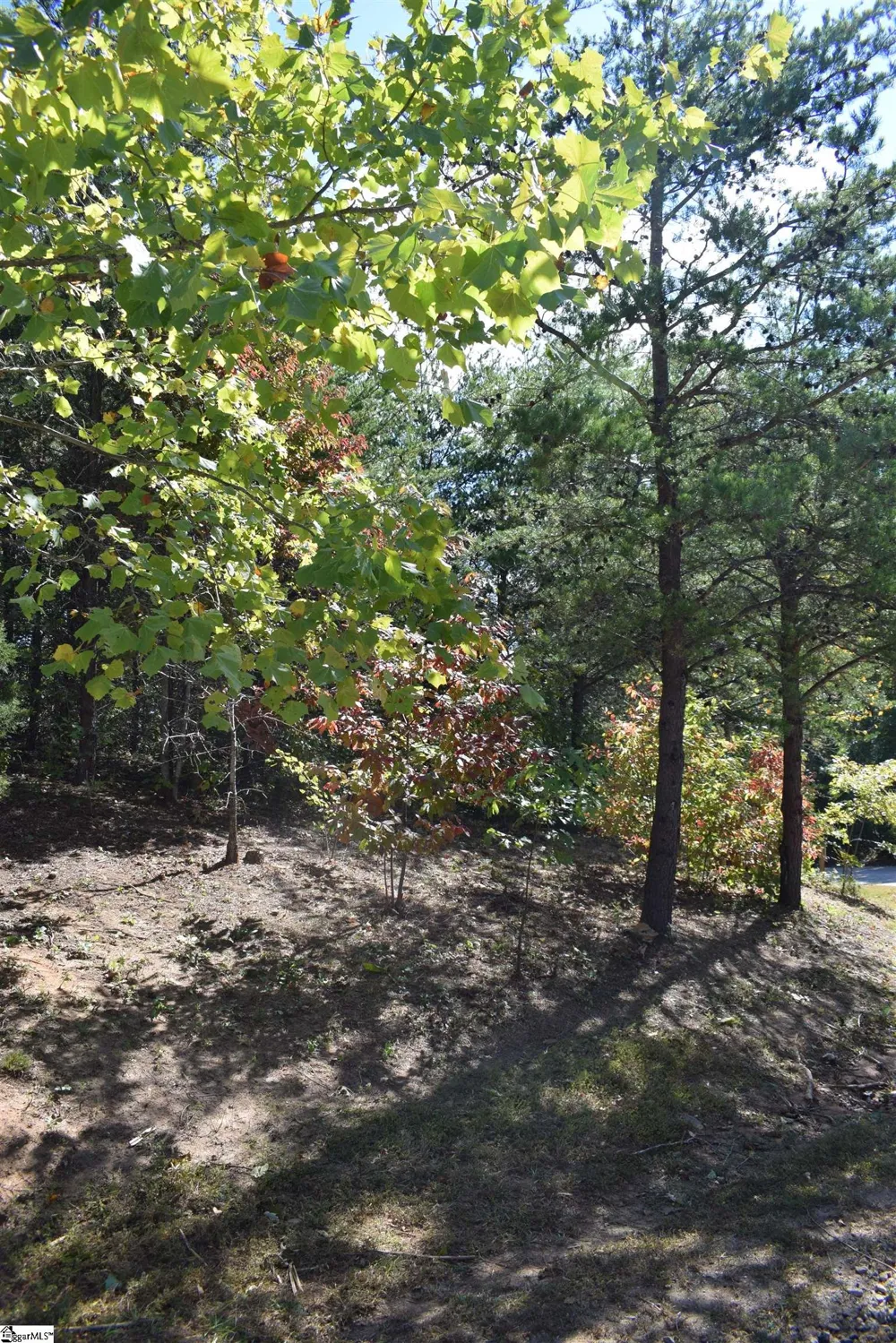 0 Holland Drive #Lot 3 Columbus, NC 28722