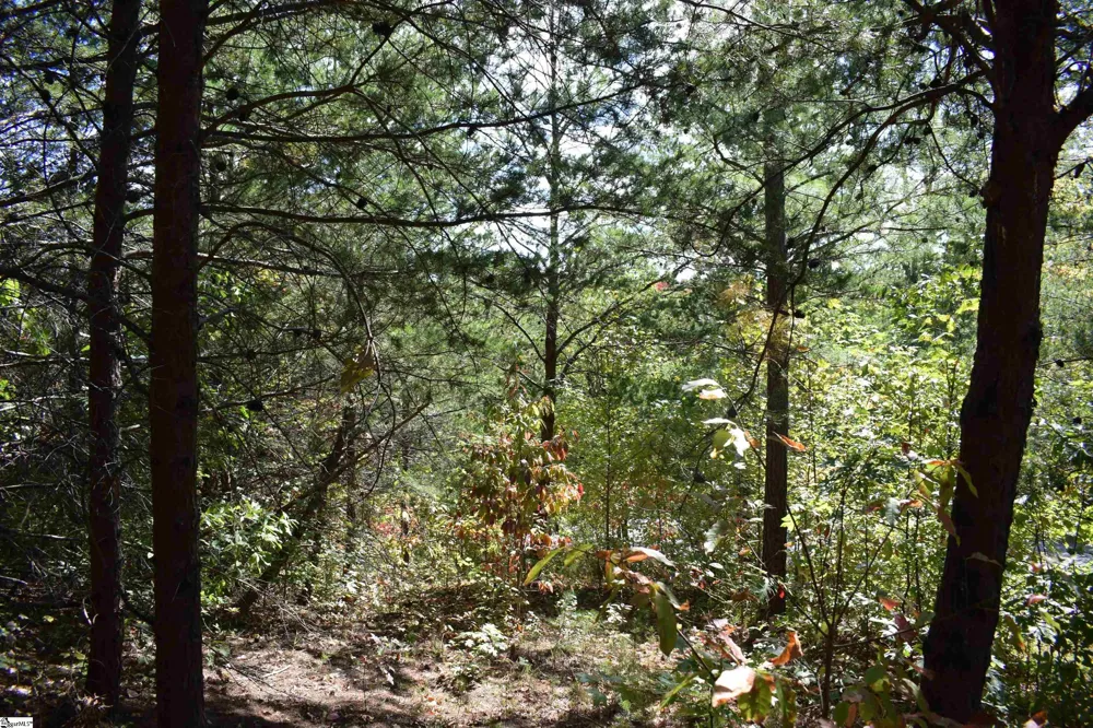 0 Holland Drive #Lot 3 Columbus, NC 28722