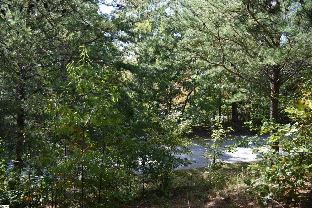 0 Holland Drive #Lot 3 Columbus, NC 28722