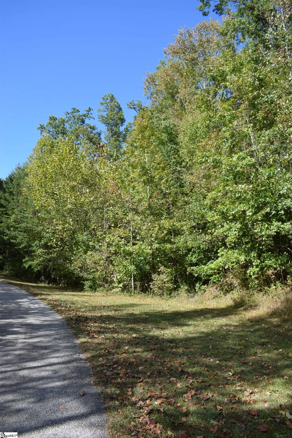 0 Holland Drive #Lot 3 Columbus, NC 28722