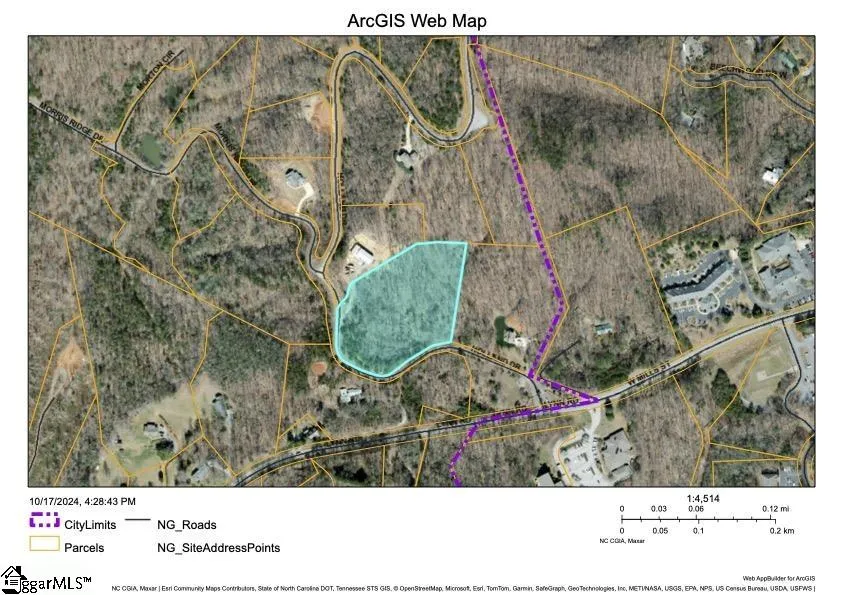0 Holland Drive #Lot 3 Columbus, NC 28722