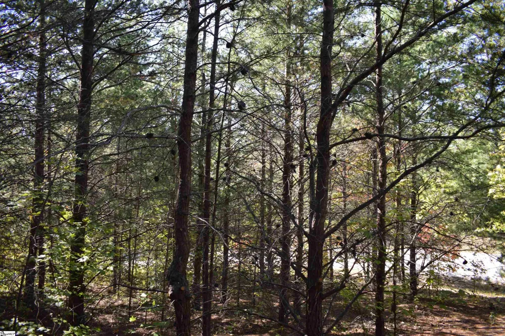 0 Holland Drive #Lot 3 Columbus, NC 28722