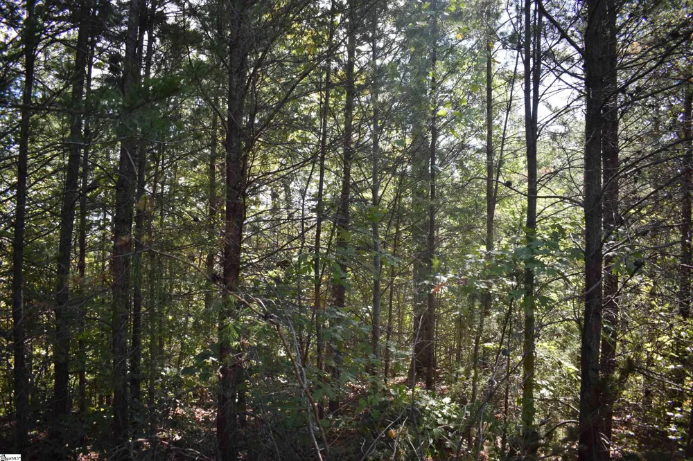 0 Holland Drive #Lot 3 Columbus, NC 28722