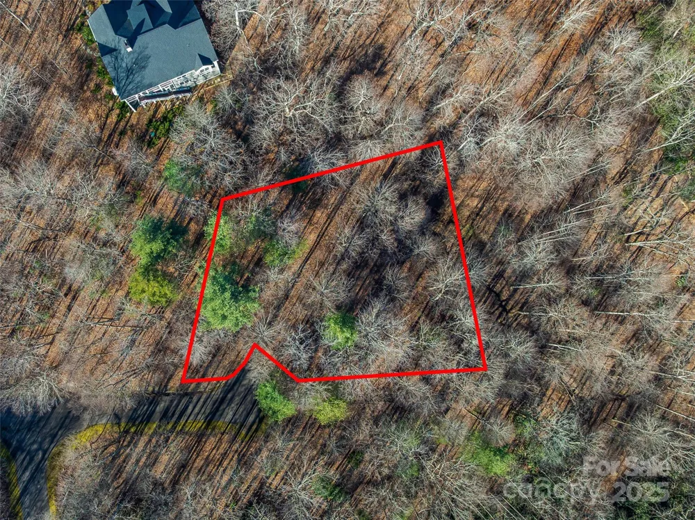 TBD Ladys Fern Trail #10 Laurel Park, NC 28739