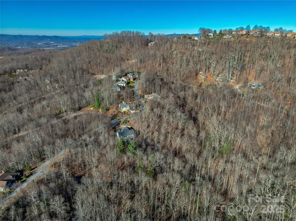TBD Ladys Fern Trail #10 Laurel Park, NC 28739