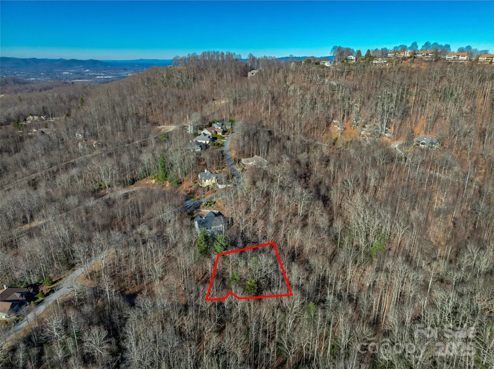 TBD Ladys Fern Trail #10 Laurel Park, NC 28739