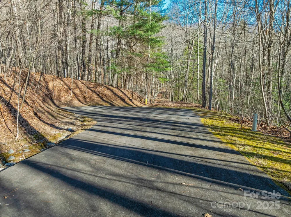 TBD Ladys Fern Trail #10 Laurel Park, NC 28739