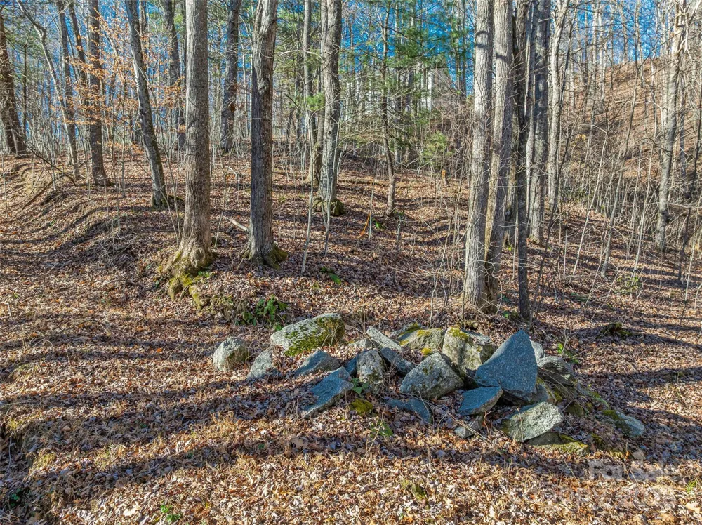 TBD Ladys Fern Trail #10 Laurel Park, NC 28739