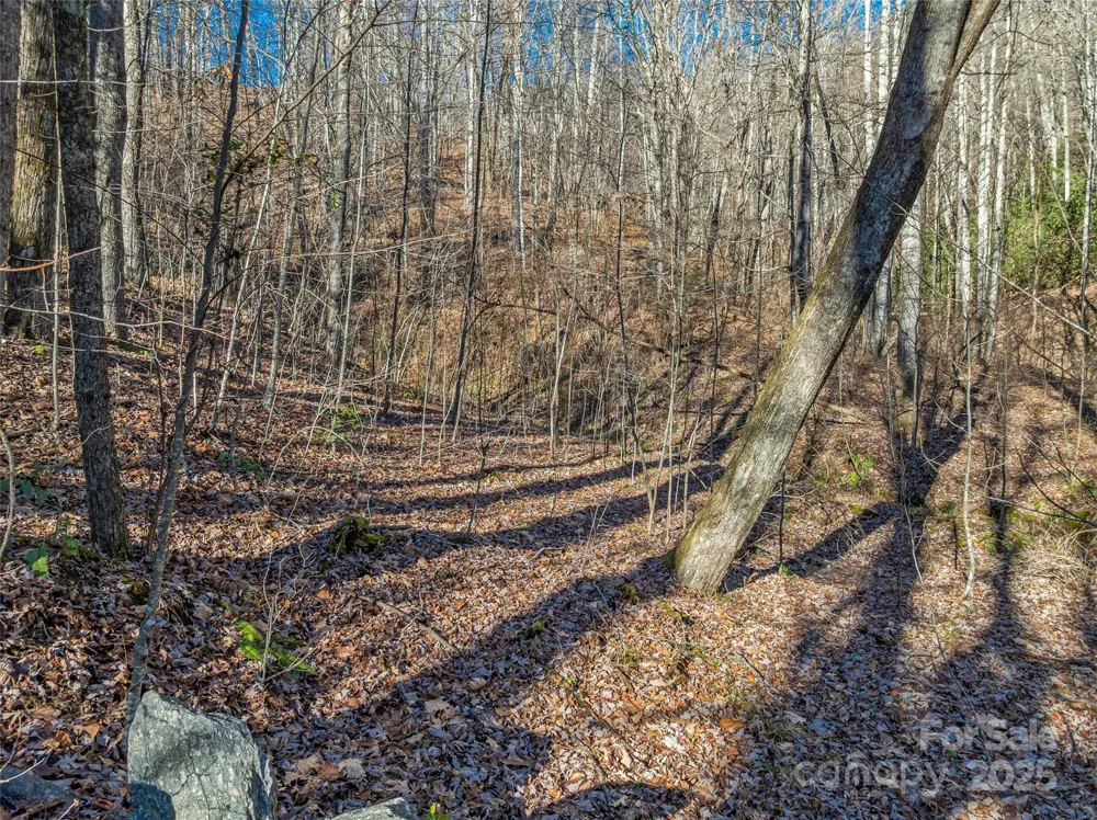 TBD Ladys Fern Trail #10 Laurel Park, NC 28739