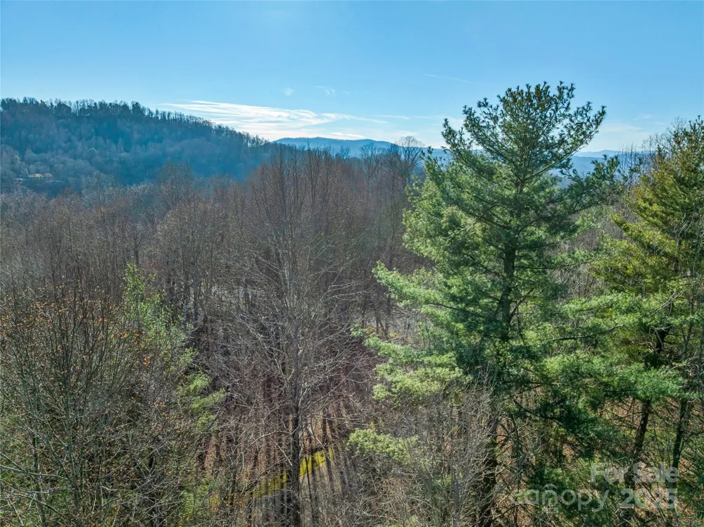 TBD Ladys Fern Trail #10 Laurel Park, NC 28739