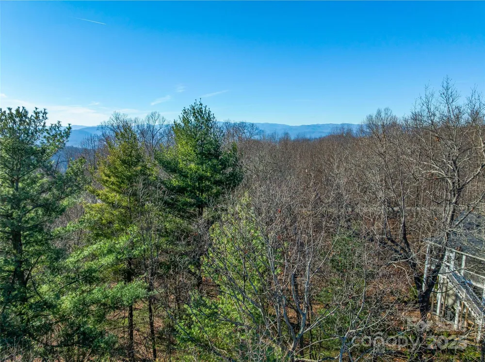 TBD Ladys Fern Trail #10 Laurel Park, NC 28739