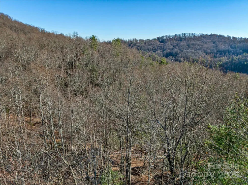 TBD Ladys Fern Trail #10 Laurel Park, NC 28739