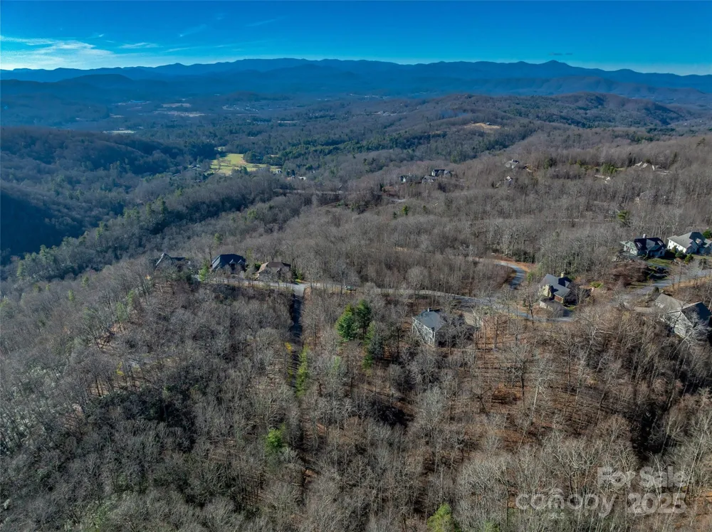 TBD Ladys Fern Trail #10 Laurel Park, NC 28739