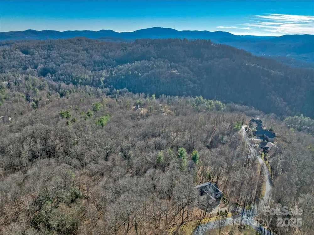 TBD Ladys Fern Trail #10 Laurel Park, NC 28739