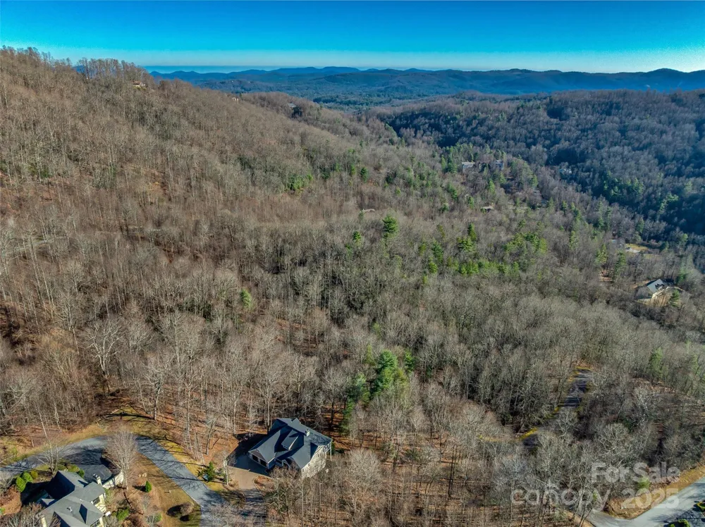 TBD Ladys Fern Trail #10 Laurel Park, NC 28739