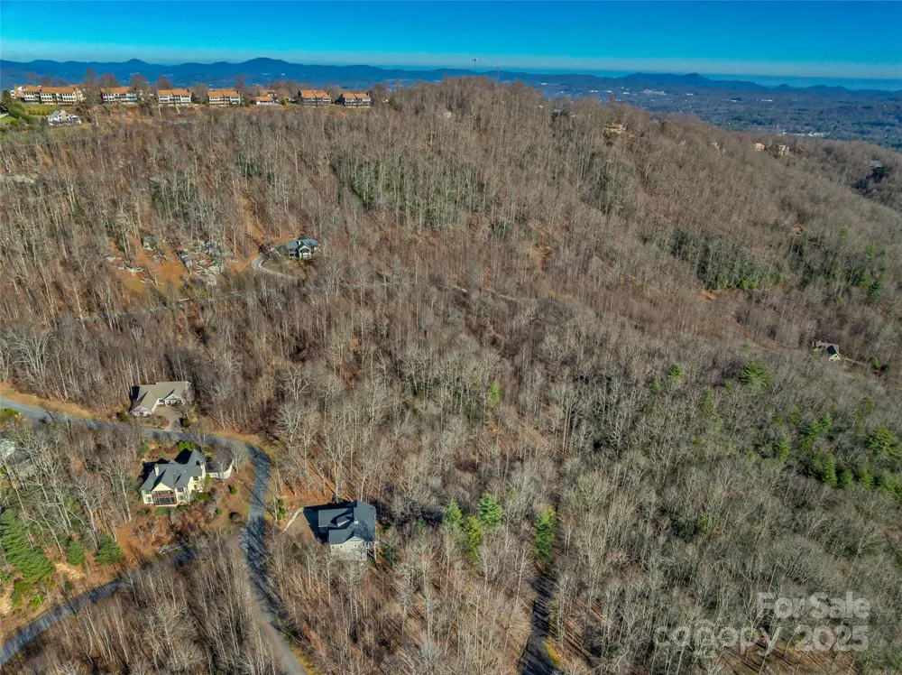 TBD Ladys Fern Trail #10 Laurel Park, NC 28739