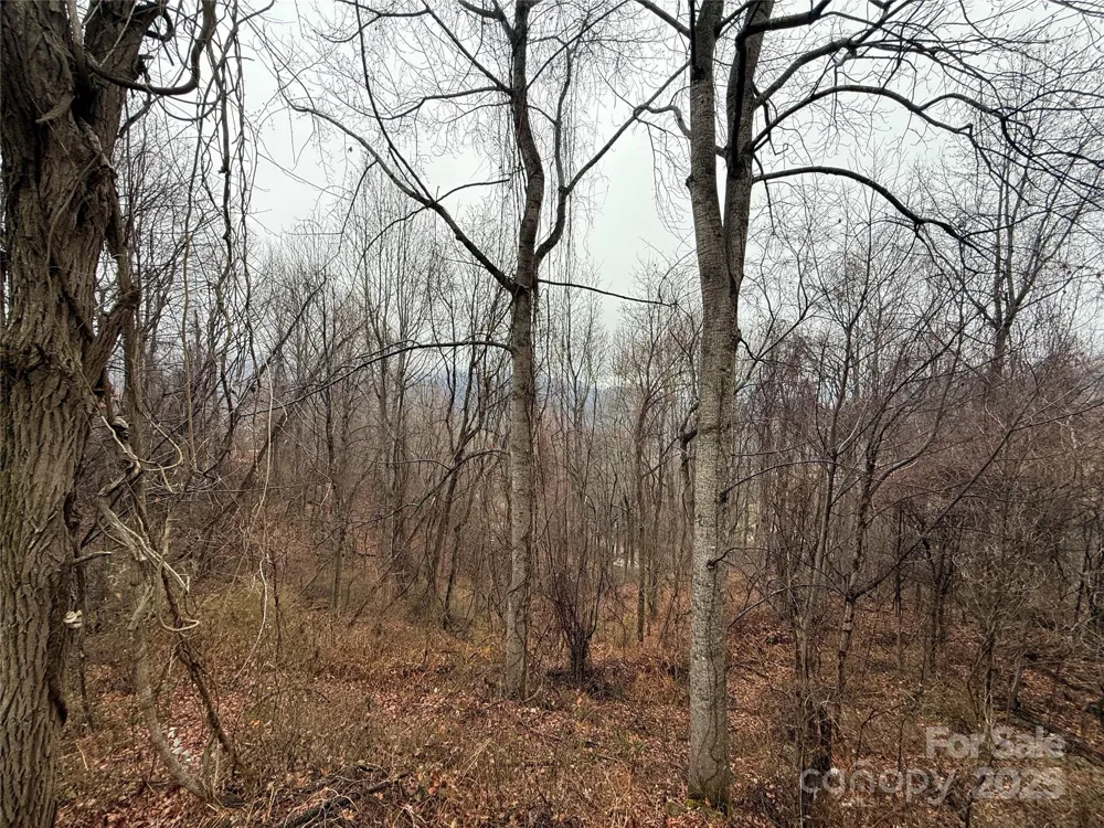 201 Mountain Vista Road Canton, NC 28716
