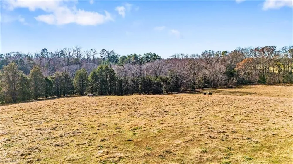 00 Juney Beauchamp Road Advance, NC 27006