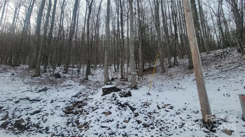 Lot 7B Hickory Springs Road #7B Burnsville, NC 28714