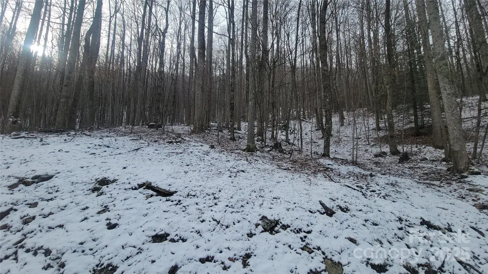 Lot 7B Hickory Springs Road #7B Burnsville, NC 28714