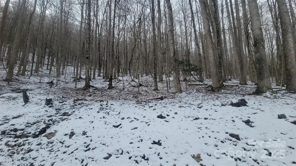 Lot 7B Hickory Springs Road #7B Burnsville, NC 28714