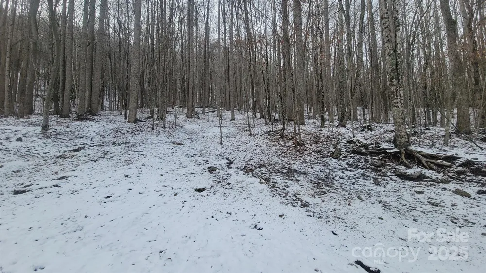 Lot 7B Hickory Springs Road #7B Burnsville, NC 28714