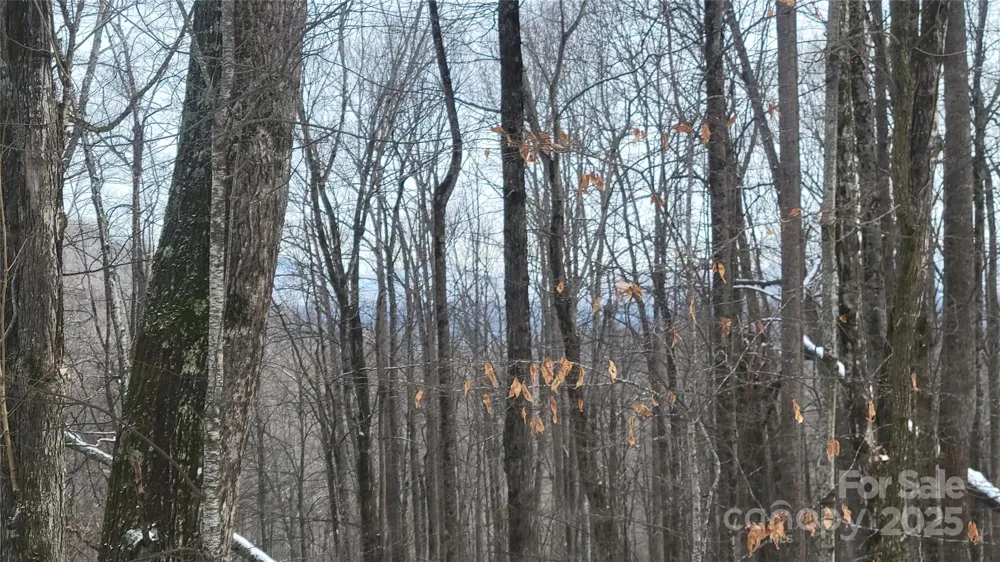 Lot 7B Hickory Springs Road #7B Burnsville, NC 28714