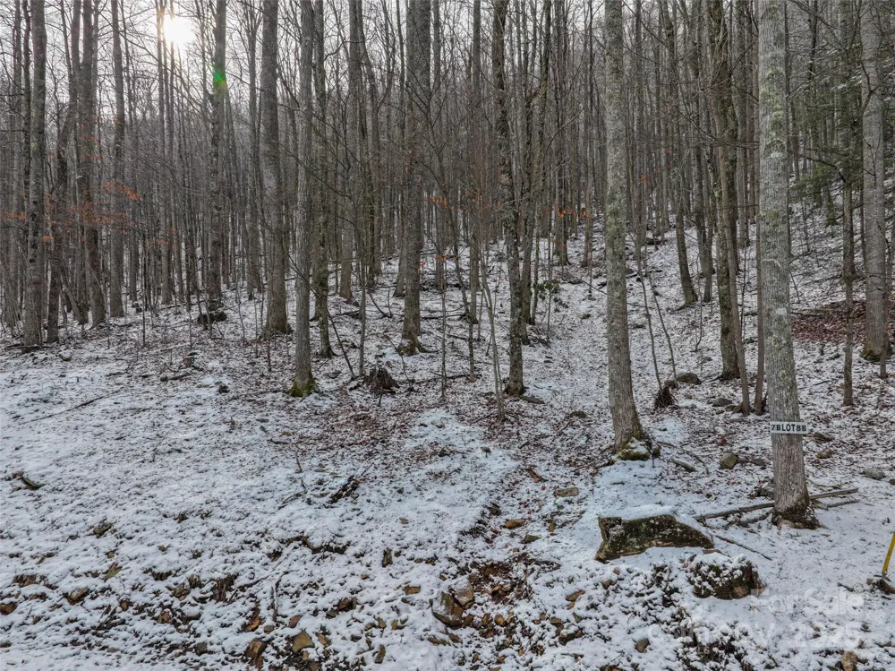 Lot 7B Hickory Springs Road #7B Burnsville, NC 28714