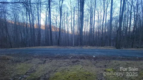 Lot 7B Hickory Springs Road #7B