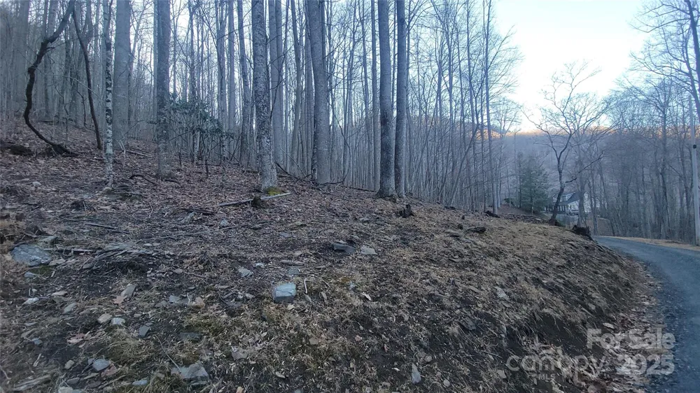 Lot 7B Hickory Springs Road #7B Burnsville, NC 28714