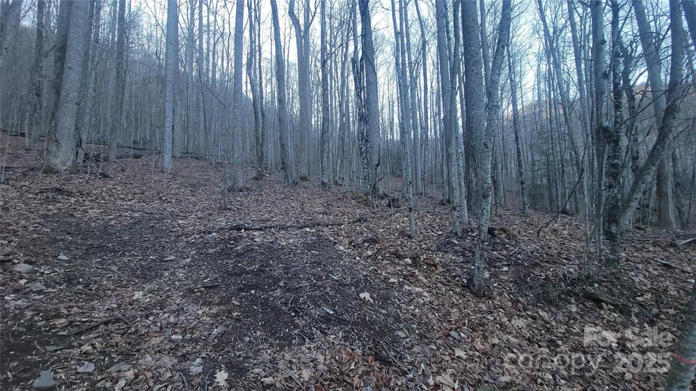 Lot 7B Hickory Springs Road #7B Burnsville, NC 28714