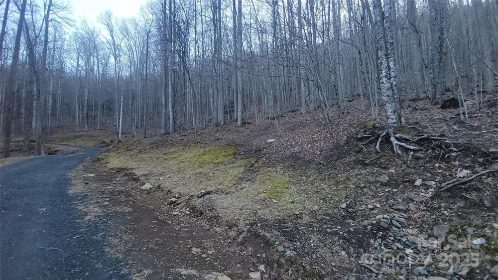 Lot 7B Hickory Springs Road #7B Burnsville, NC 28714