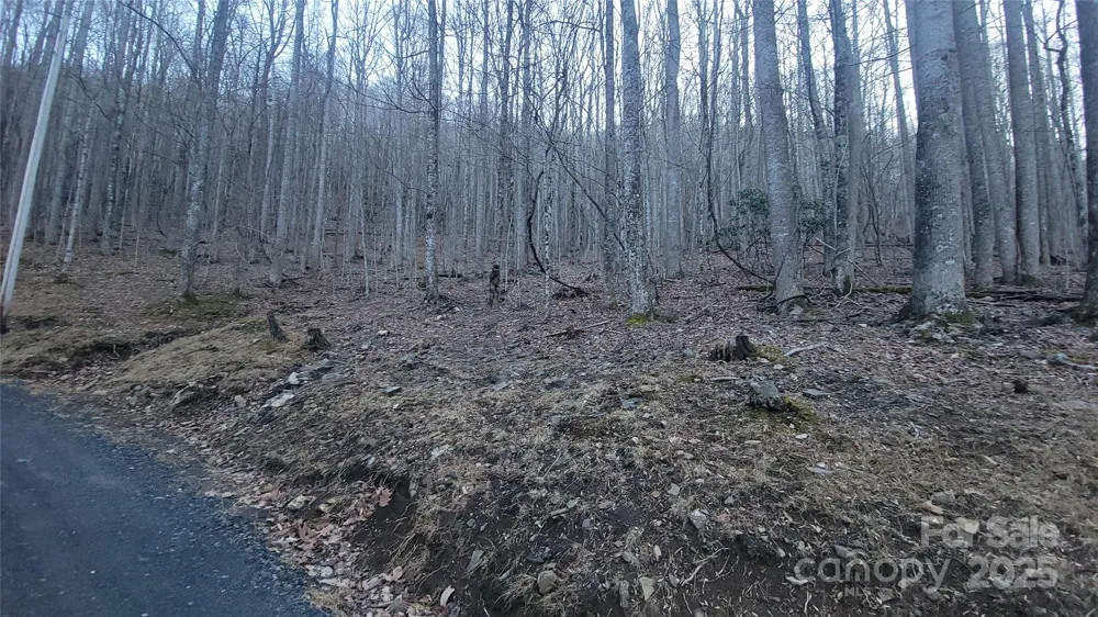 Lot 7B Hickory Springs Road #7B Burnsville, NC 28714
