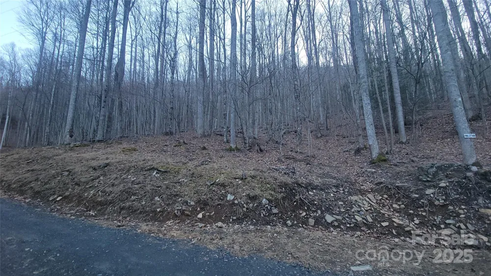 Lot 7B Hickory Springs Road #7B Burnsville, NC 28714