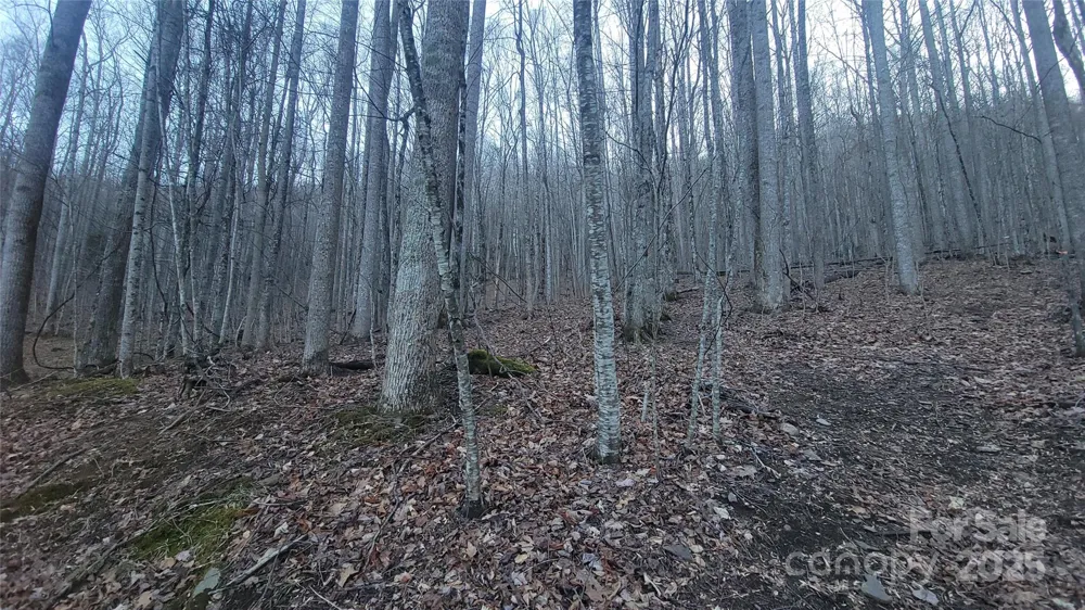 Lot 7B Hickory Springs Road #7B Burnsville, NC 28714