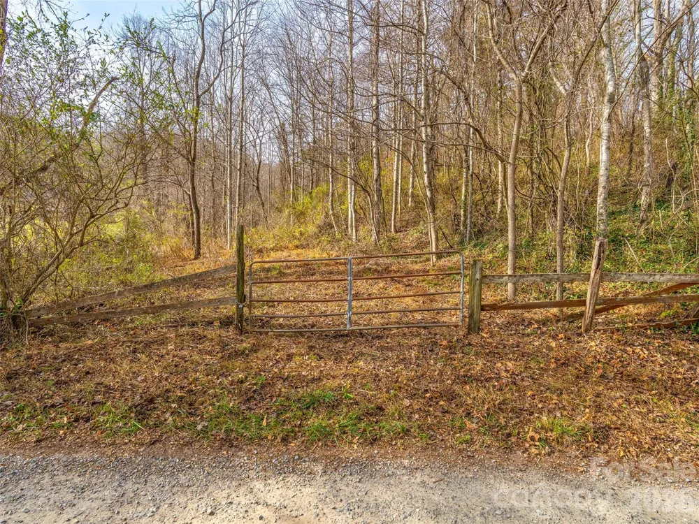 99999 Bay Horse Trail Candler, NC 28715