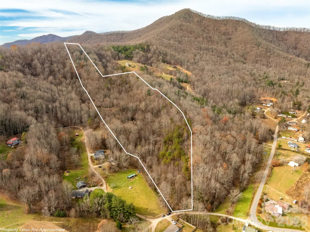 99999 Bay Horse Trail Candler, NC 28715