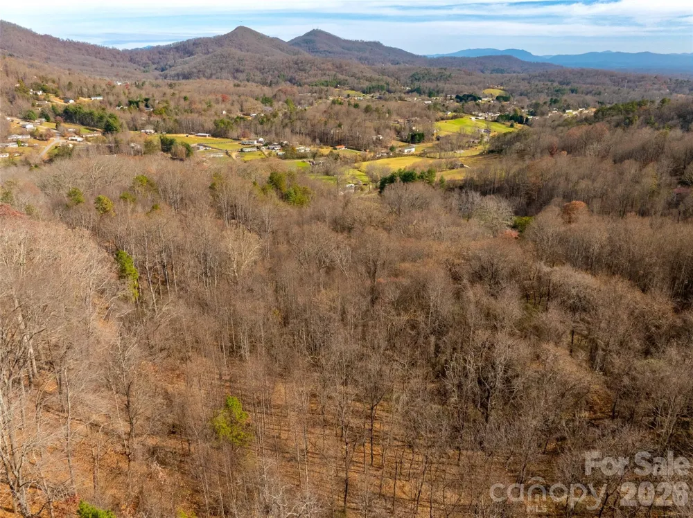 99999 Bay Horse Trail Candler, NC 28715