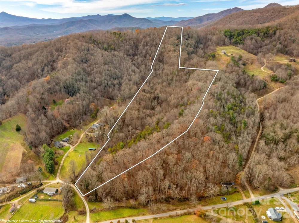 99999 Bay Horse Trail Candler, NC 28715