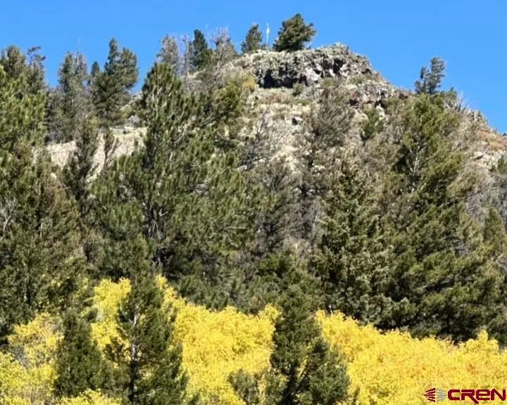 4462 County Road 25 Powderhorn, CO 81243
