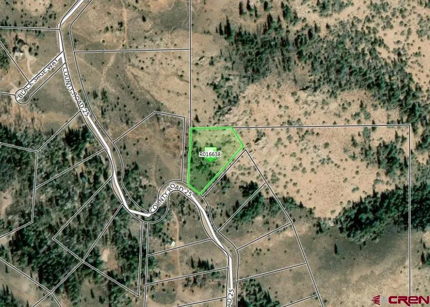 4462 County Road 25 Powderhorn, CO 81243
