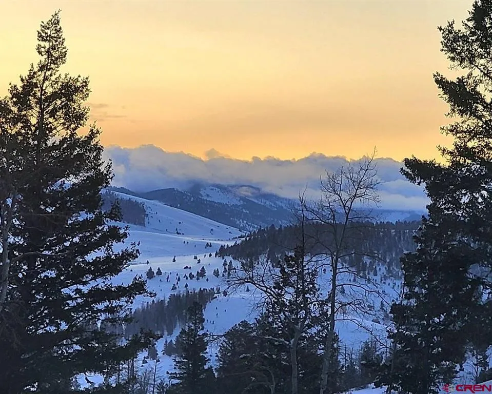 4462 County Road 25 Powderhorn, CO 81243