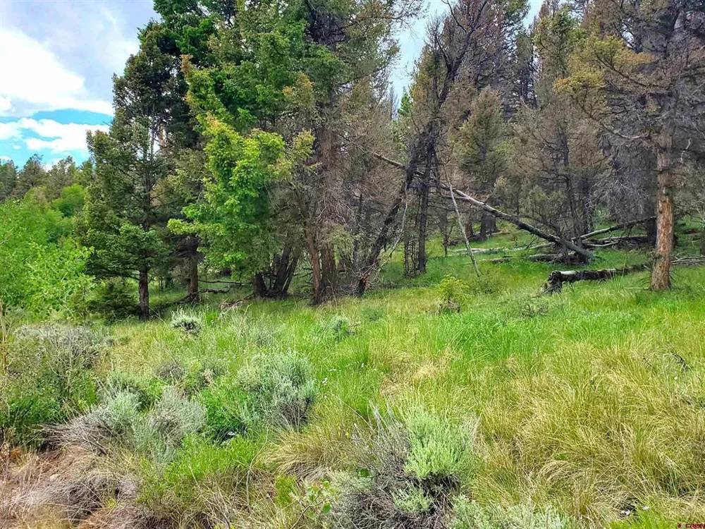 381 Monarch Road Powderhorn, CO 81243